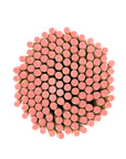 Blank Pencil with Ferrule and Eraser - Round - 144 Pencils