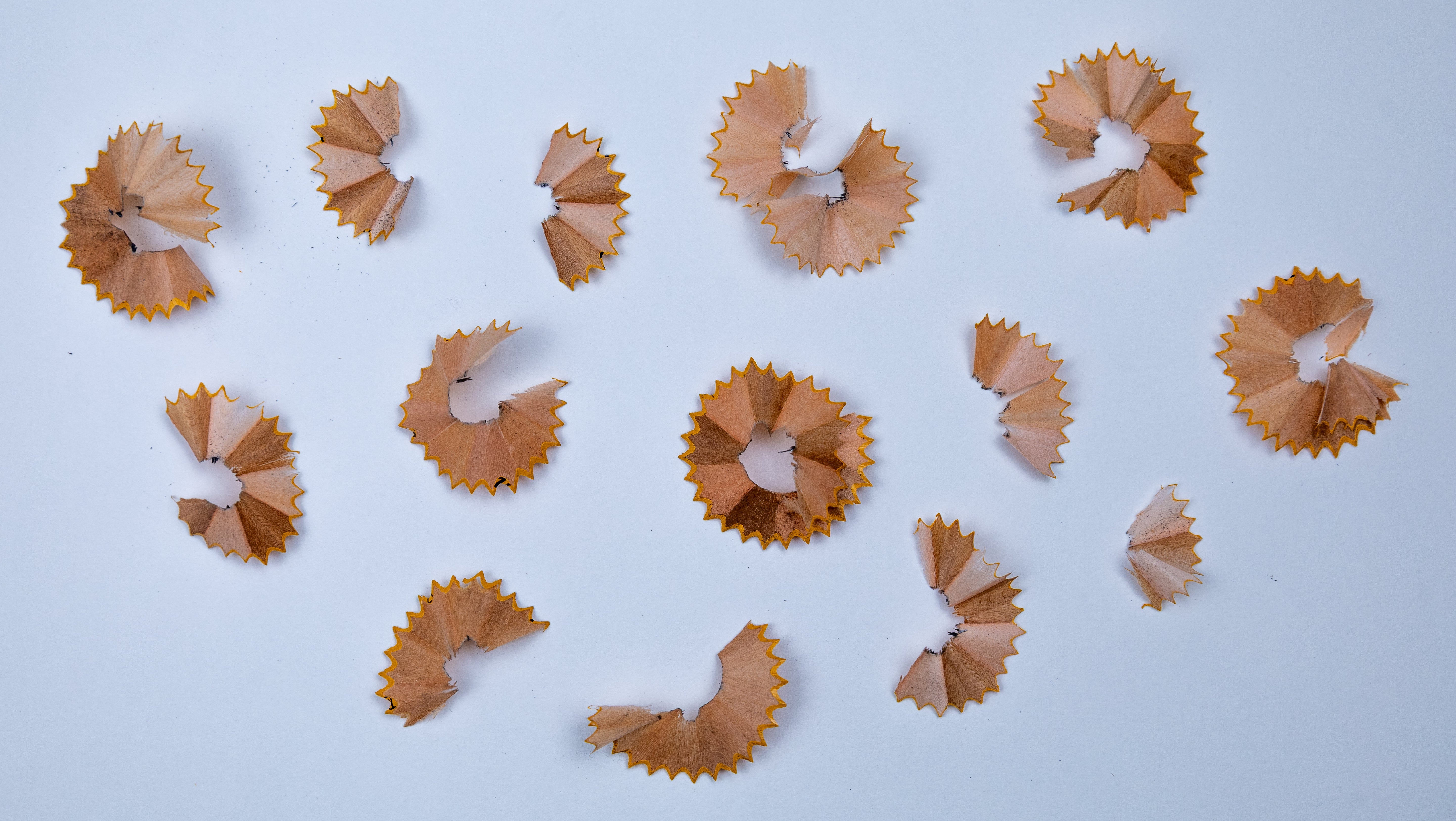Pencil Shavings 